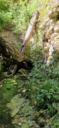 20220717 vaulion cul du nozon